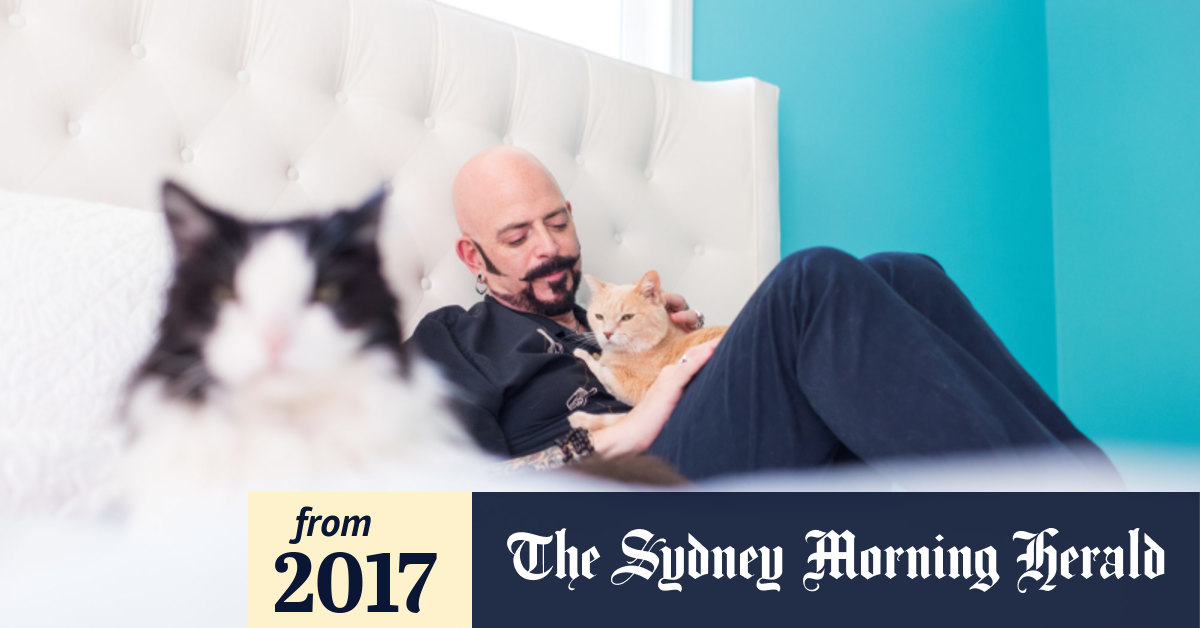 Cat whisperer Jackson Galaxy why cats suddenly bite the hand that pats